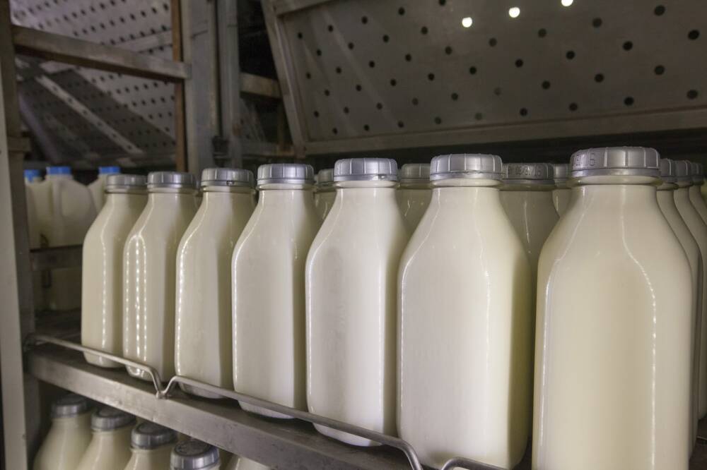 Milk in the retail shop at Shaw Farm in Dracut. (Joe Difazio/WBUR)