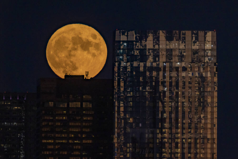 Boston skyscrapers are silhouetted against a full moon. (WBUR)