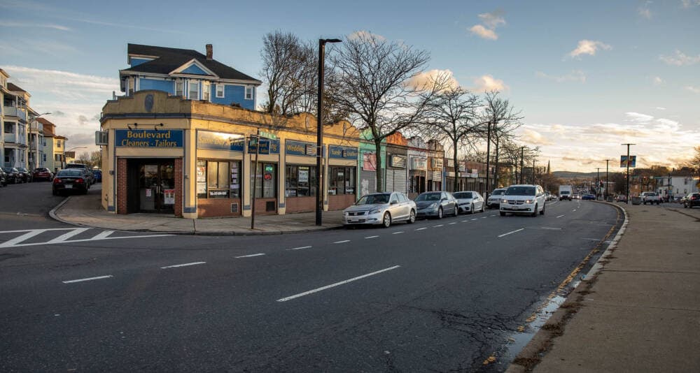 A row of single story shops on Blue Hill Avenue. The authors of PLAN: Mattapan suggest raising one- and two-story commercial buildings by adding residential units above them, to increase population density. (Robin Lubbock/WBUR)