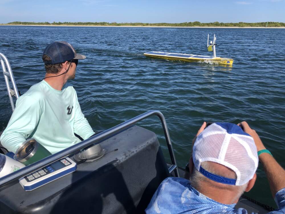 USF Oceanographers follow an uncrewed autonomous boat. 
The vehicle is helping create hyper-detailed maps of the seafloor just off the 
coast. (Courtesy of David Levin)