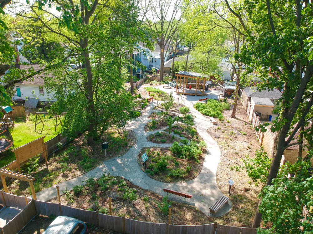 The Edgewater Food Forest in May, 2023. (Courtesy Hope Kelley/Boston Food Forest Coalition)