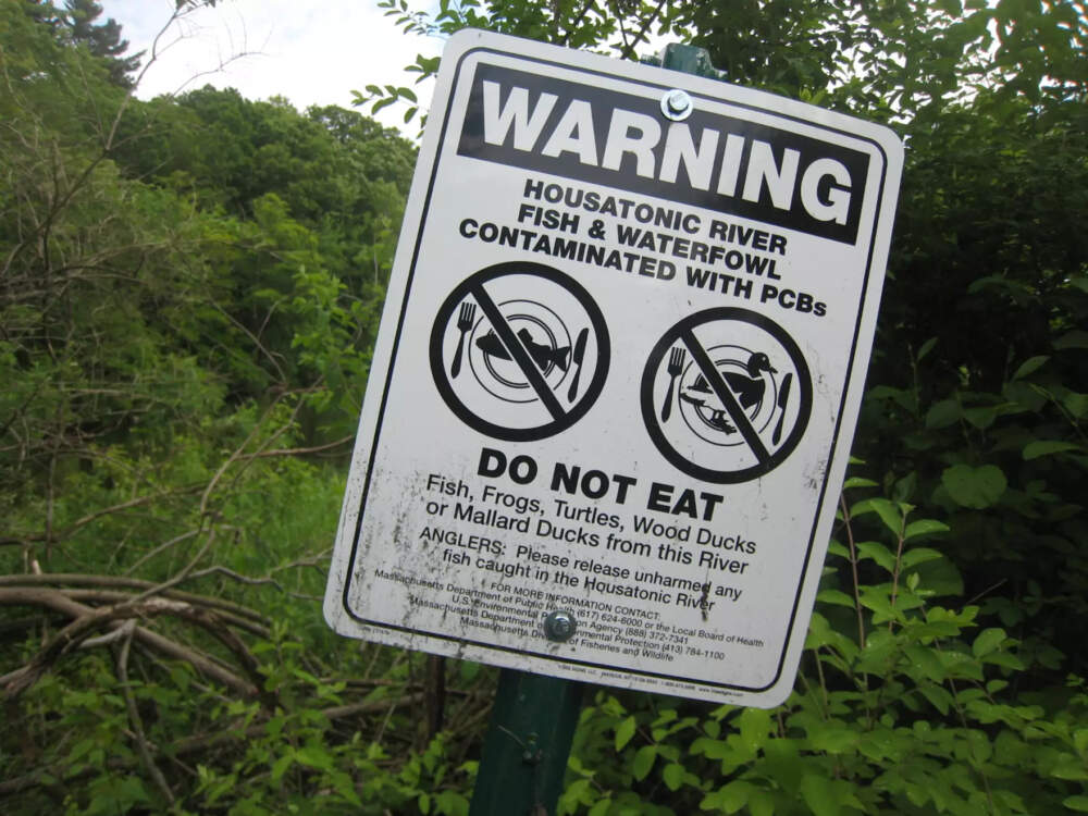 A fish and water fowl consumption advisory posted on the Housatonic River, in a file photo. (Nancy Eve Cohen/NEPM)
