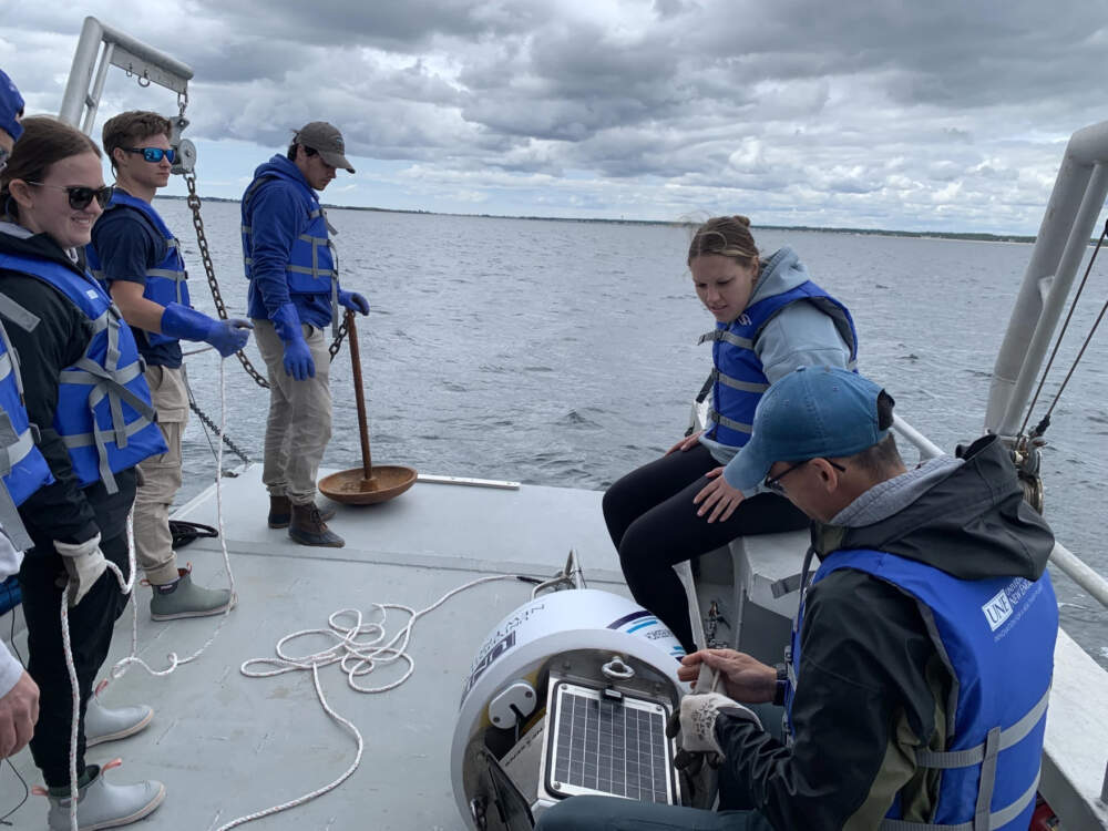 A group of University of New England students prepares to place a shark detection buoy in Saco Bay off the coast of Maine. (Nicole Ogrysko/Maine Public)