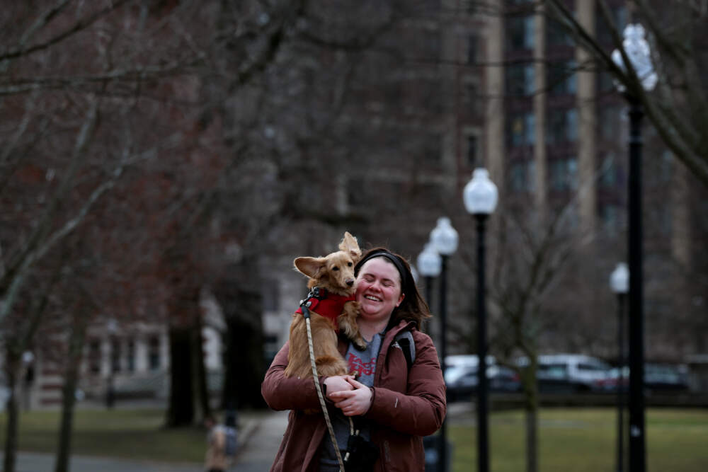 A woman carries her dog through Boston Common. (Craig F. Walker/The Boston Globe via Getty Images)