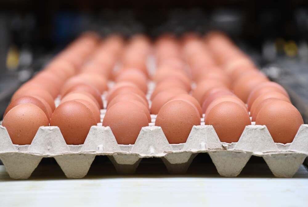 Egg prices have finally dropped after surging in recent months. (John Thys/AFP via Getty Images)