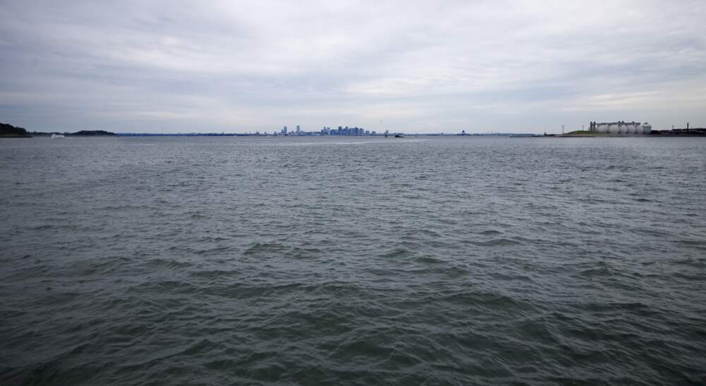 A view of Downtown Boston (center) and of Deer Island (right) from the Atlantic Ocean. (Jesse Costa/WBUR)