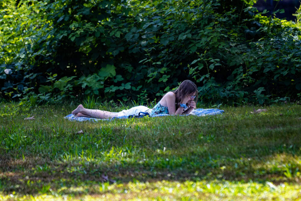Amid high temperatures on Wednesday, a woman reads in a shady spot by the banks of the Back Bay Fens. (Jesse Costa/WBUR)