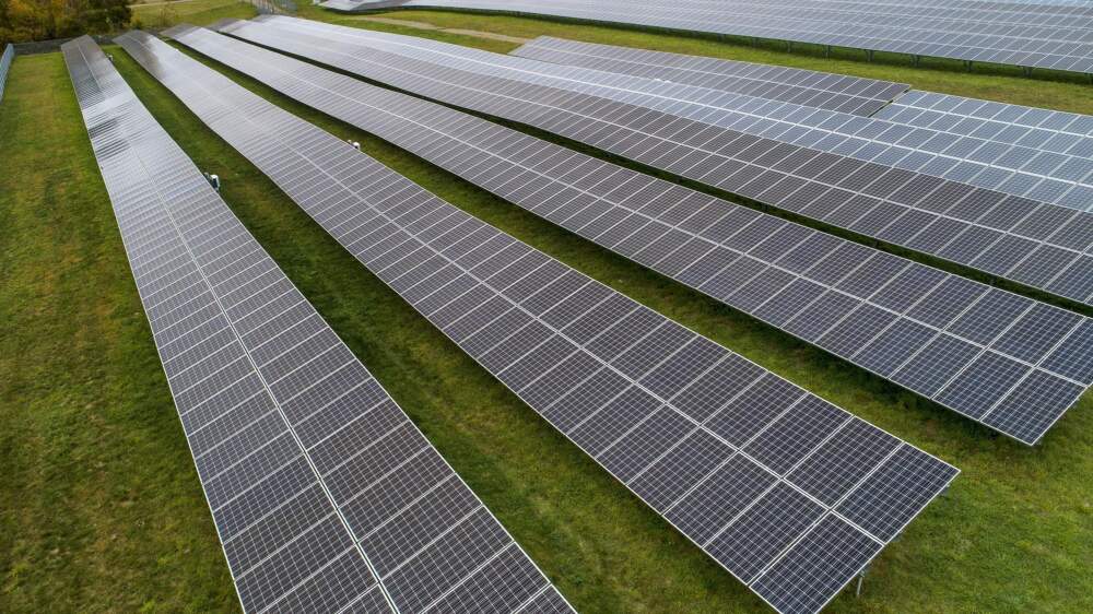 Solar panels in a field at Knowlton Farm, Grafton, Mass. (Robin Lubbock/WBUR)