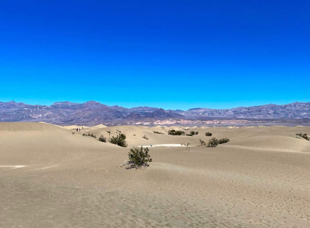 Mesquite Flat Sand Dunes at Death Valley National Park. (Allison Hagan/Here & Now)