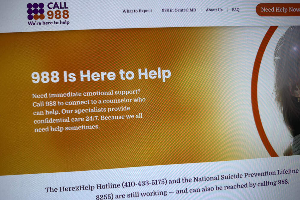 Part of the 988helpline.org website. (Jon Elswick/AP)