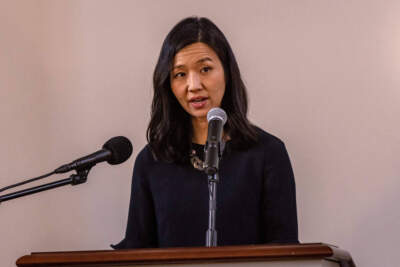 Mayor Michelle Wu speaks in Boston in February. (Jesse Costa/WBUR)