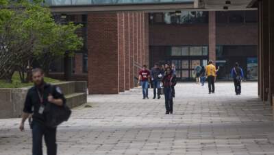 People walking through the campus at UMass Boston. (Jesse Costa/WBUR)