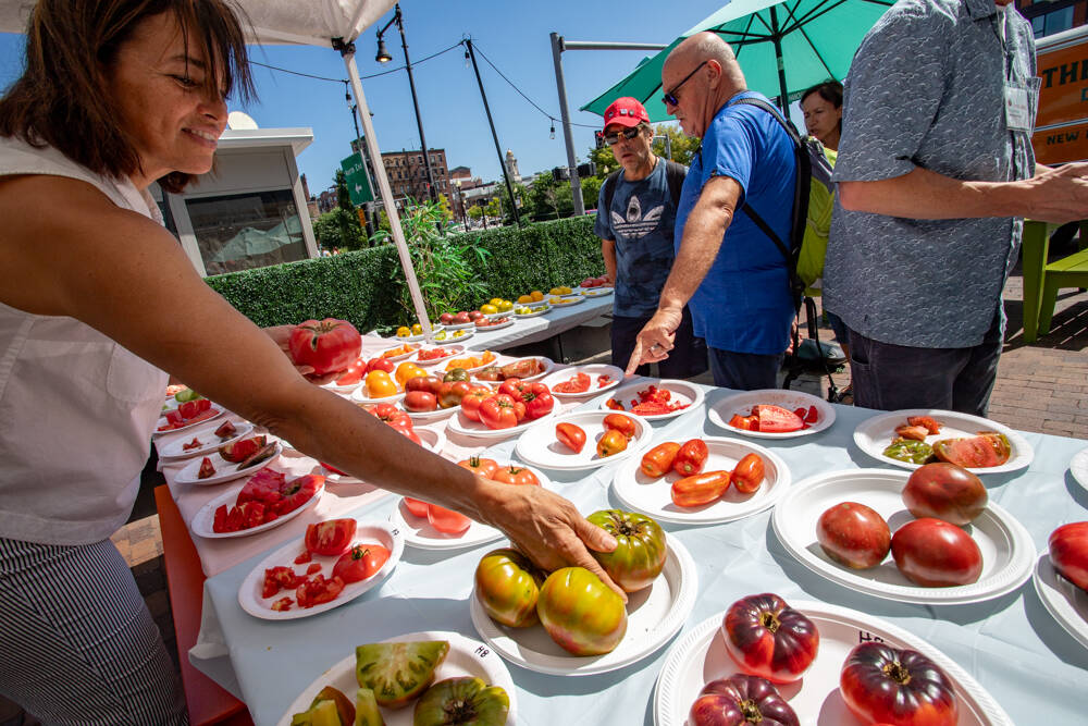Rose Arruda (left), a program manager at the Massachusetts Department of Agricultural Resources, points out some of her favorite entries in the heirloom category at MDAR's annual tomato contest Tuesday outside the Boston Public Market. (Sam Doran/SHNS)