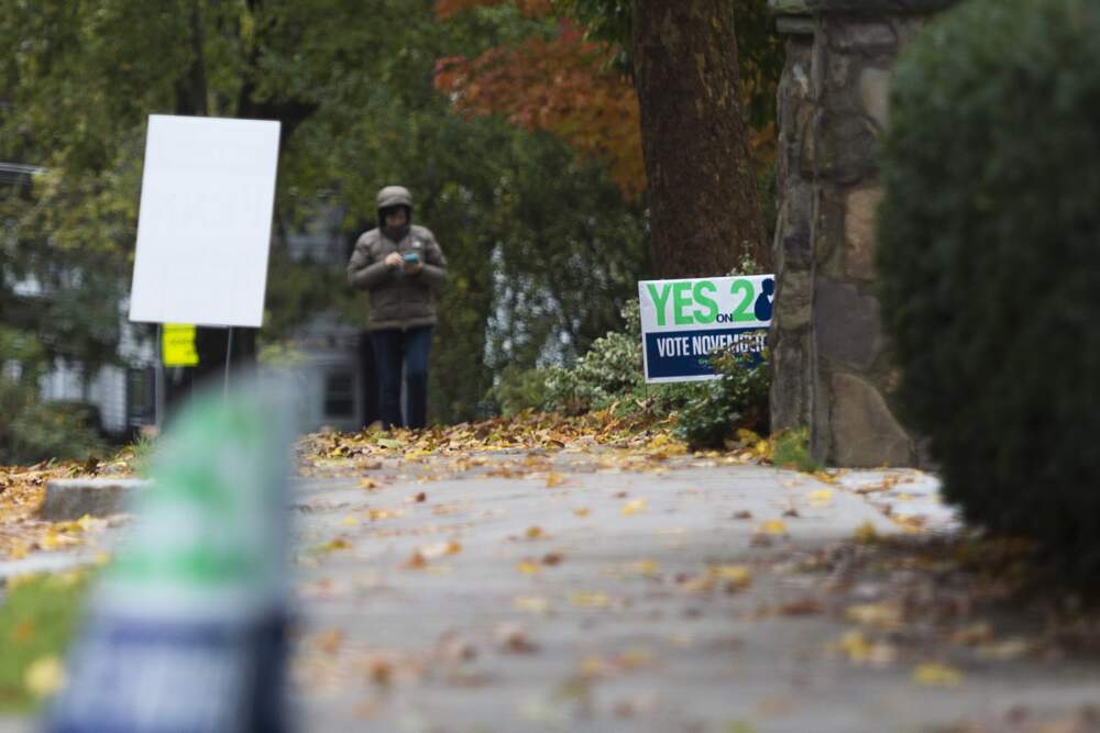 A &quot;Yes on Question 2&quot; sign in Newton in 2016. (Jesse Costa/WBUR)