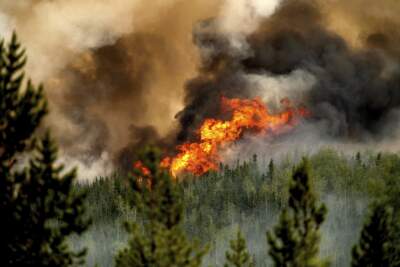 Flames from the Donnie Creek wildfire burn along a ridge top north of Fort St. John, British Columbia, Canada, Sunday, July 2, 2023. (Noah Berger/AP)