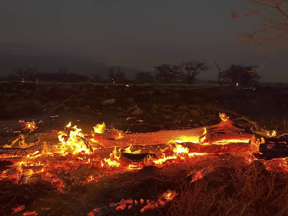 Thousands of residents raced to escape homes on Maui as blazes swept across the island, destroying parts of a centuries-old town in one of the deadliest U.S. wildfires in recent years. (Ty O'Neil/AP)