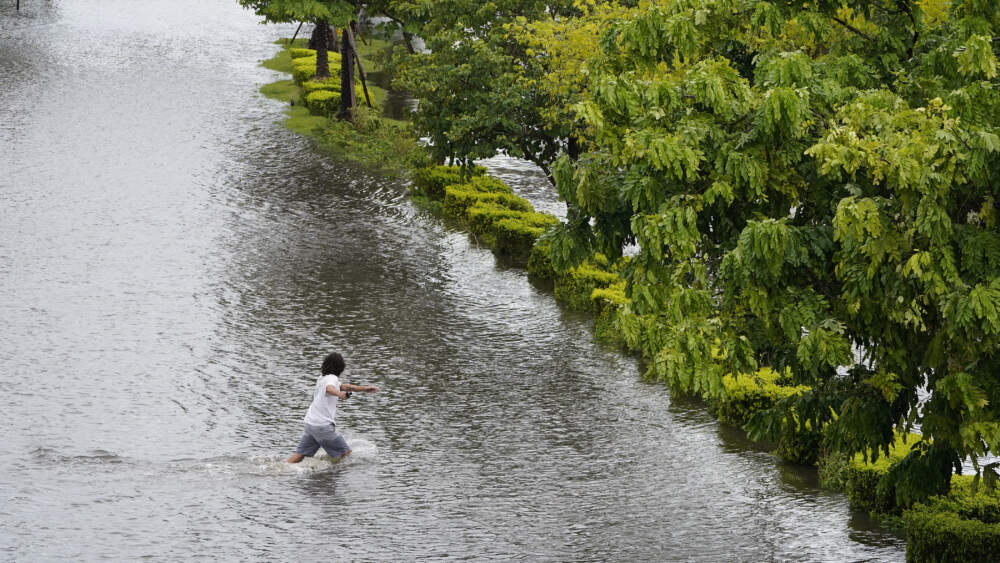 A man runs across flooded Bayshore Blvd., from the storm surge associated with Hurricane Idalia in Tampa. (Chris O'Meara/AP)