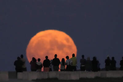 A rare Blue Supermoon rises over Lake Michigan as spectators watch from Chicago's 31st Street beach Wednesday, Aug. 30, 2023. (Charles Rex Arbogast/AP)