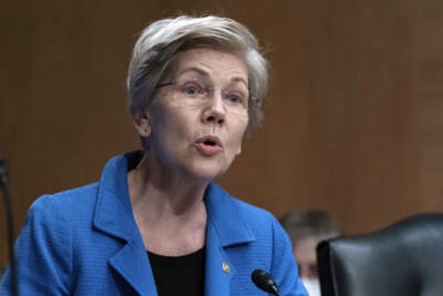 Sen. Elizabeth Warren, D-Mass., speaks at a committee hearing on Capitol Hill in Washington. (Jose Luis Magana/AP)