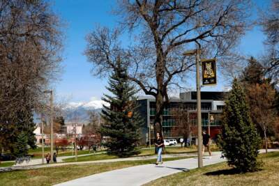 Spring campus scene at Montana State University in Bozeman Montana. (Photo by: Don &amp; Melinda Crawford/Education Images/Universal Images Group via Getty Images)