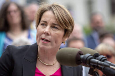 Governor Maura Healey speaks to people gathered in front of the Massachusetts State House. (Robin Lubbock/WBUR)