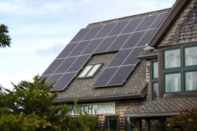 An array of solar panels covers the roof of Mass Audubon's Joppa Flats Education Center. (Robin Lubbock/WBUR)