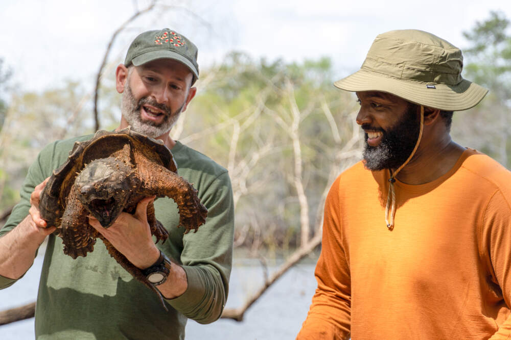 Baratunde Thurston sees a Suwannee snapping turtle up close. (Courtesy of Part2 Pictures/Twin Cities PBS)