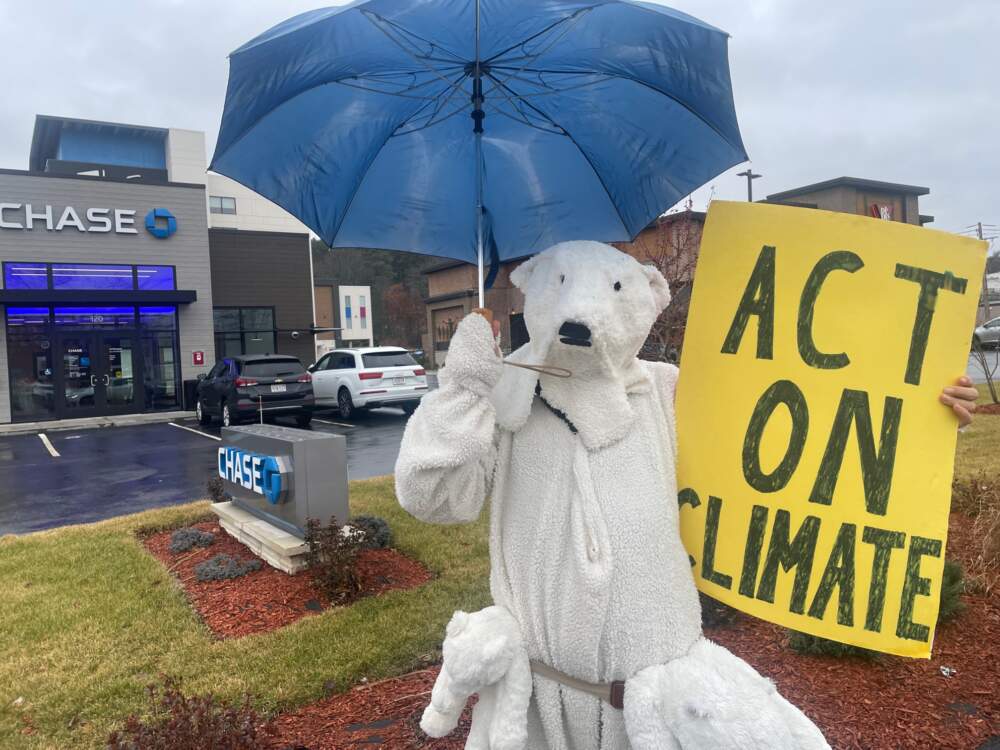 The author in her homemade polar bear suit. She stands outside a Chase Bank on Route 9 in Framingham every Saturday morning to protest the bank's ongoing investment in fossil fuels. (Courtesy Sabine von Mering)