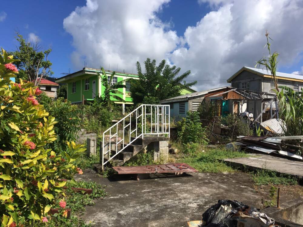 In 2017, Hurricane Maria destroyed Camara Aaron's grandmother's house on the Caribbean island Dominica. Only the front stairs that led up to the front door remained. (Courtesy of Camara Aaron) 