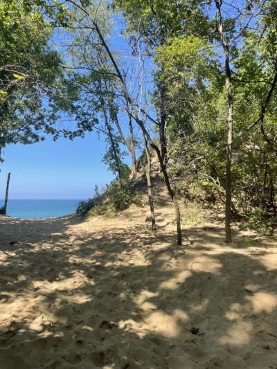 The foot of Mount Baldy, a sand dune a sand dune in Indiana Dunes National Park. 