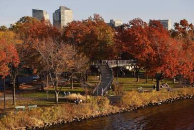 Boston's Esplanade, Charles River and skyline surrounded by fall foliage. (Michael Dwyer/AP)