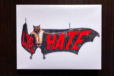 On view in PEM's &quot;Bats!&quot; exhibit, Tony Rubino’s “Love Hate Bat” captures the strong, conflicted emotions that bats have evoked. (Jesse Costa/WBUR)