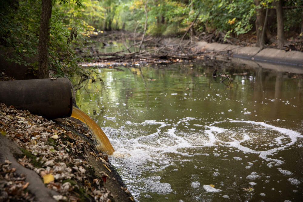 A stormwater pipe discharges into Alewife Brook. (Robin Lubbock/WBUR)