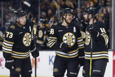 Boston Bruins' David Pastrnak (88) celebrates a goal with Charlie McAvoy (73) and Pavel Zacha (18) during the first period of a preseason game last month in Boston (Michael Dwyer/AP)