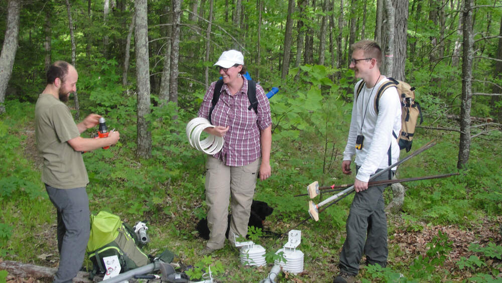 Boston University Professor Lucy Hutyra and colleagues Andrew Reinmann and Ian Smith, doing field research on trees and the carbon cycle. (Courtesy Lucy Hutyra)