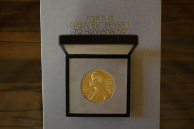 The Nobel Prize. (Matt Dunham/AP)