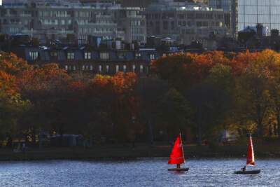 Sail boats on the Charles River in Boston in autumn. (Michael Dwyer/AP)