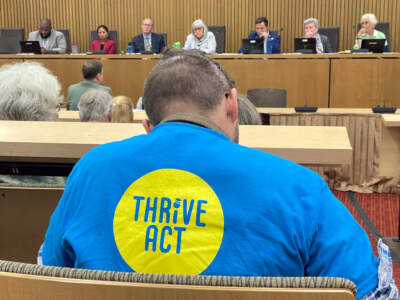 A Thrive Act supporter listens during Wednesday's Joint Committee on Education hearing at the State House. (Max Larkin/WBUR)