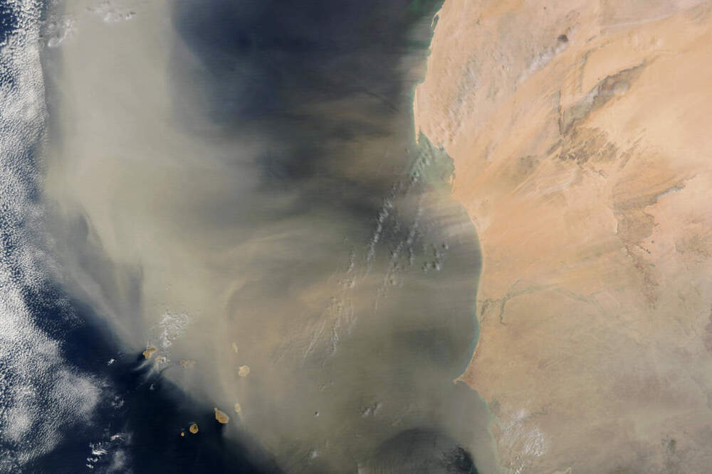 Oceans are often fertilized by dust storms like this one in 2003, which covered a swath of the Atlantic from the Cape Verde Islands to the Canary Islands with iron-rich dust from the Sahara desert. (Courtesy of NASA)