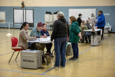 Voters check in to cast their ballots at the Margarita Muñiz Academy in Jamaica Plain, Boston, on Nov. 7. (Robin Lubbock/WBUR)