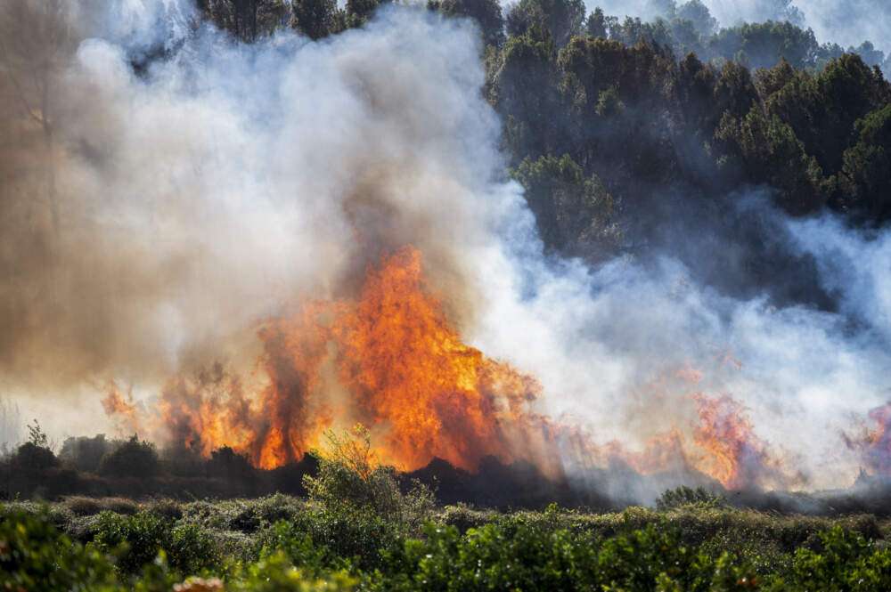 A wildfire abetted by storm winds in eastern Spain has burned some 2,000 hectares (4,900 acres) of land and forced the evacuation of 850 people from four towns. (Andreu Esteban/AP)