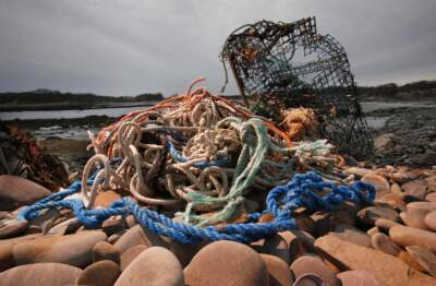 A washed-up lobster trap and tangled lines sit on a beach in Biddeford, Maine. (Robert F. Bukaty/AP)