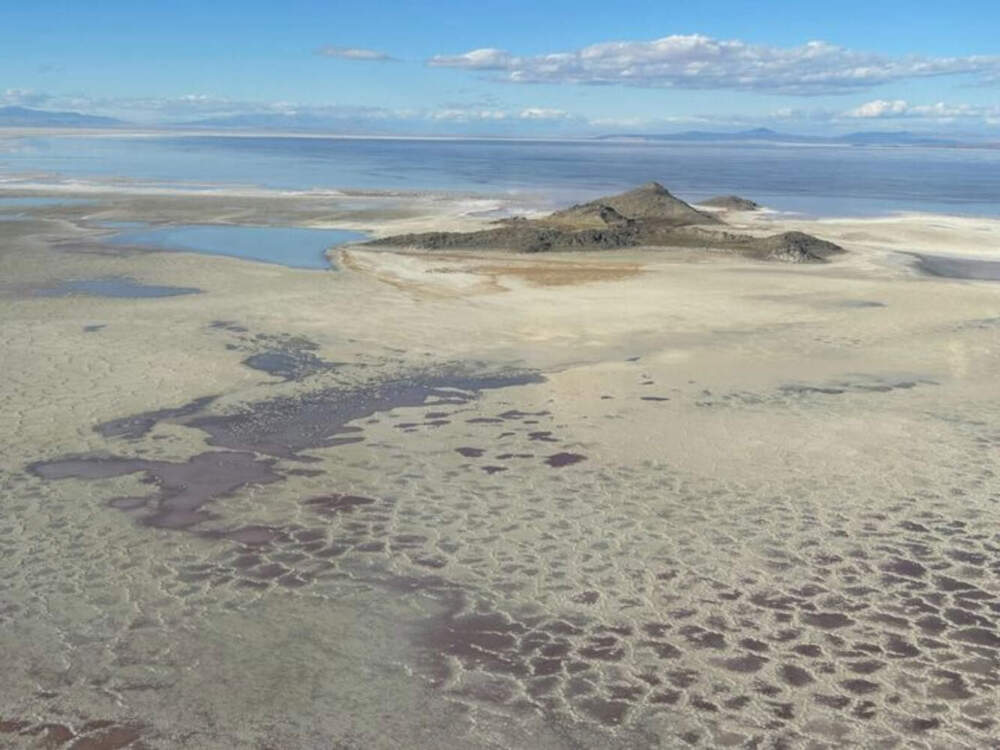 Gunnison Island, seen from above, on the North Arm of the Great Salt Lake. When the water receded, one of the largest colonies of white pelicans in North America abandoned the island. (Peter O'Dowd/Here & Now)