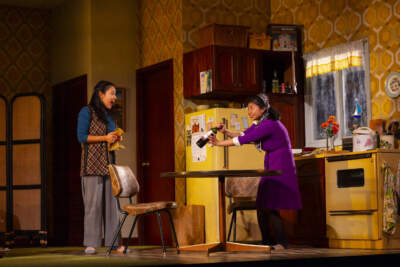 Judy Song and Jenna Agbayani in &quot;The Heart Sellers&quot; at the Huntington Theatre Company. (Courtesy T Charles Erickson)