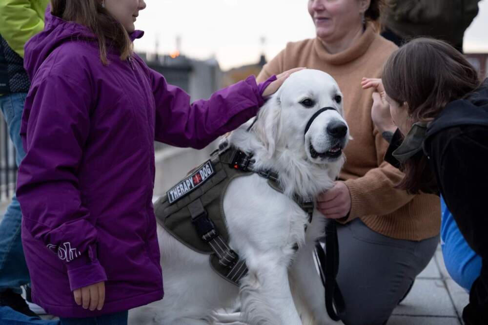 Before the OneLewiston Community Vigil, Gabriella Dunham, 10, left, pets Oliver, an English cream golden retriever therapy dog outside of the Basilica of Saints Peter and Paul in Lewiston, Maine, on Sunday, Oct. 29, 2023. (Raquel C. Zaldívar/New England News Collaborative)