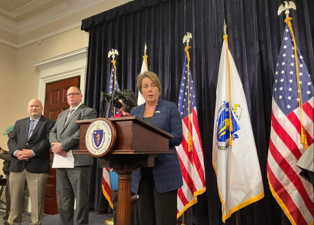 Gov. Maura Healey said a newly created state police unit represents a new strategy for state officials to crack down on rising hate crimes. (Alison Kuznitz/SHNS)