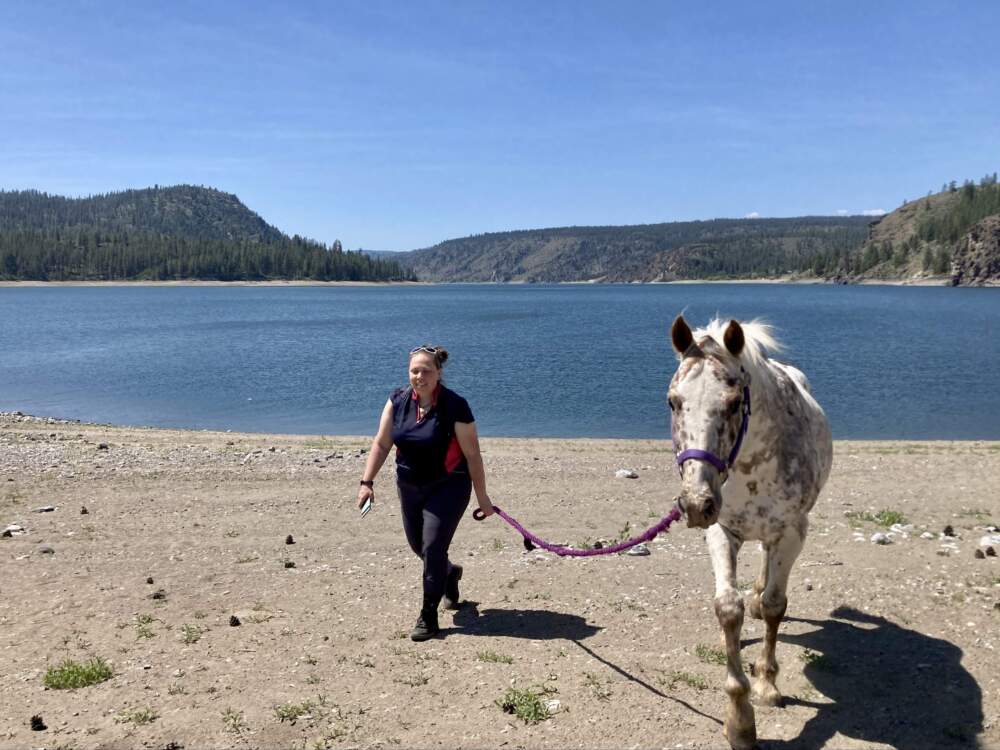 Allison Burke walks along the shore of Lake Roosevelt on the Spokane Indian Reservation with Jack, an appaloosa mustang she rescued.  (Ashley Ahearn)