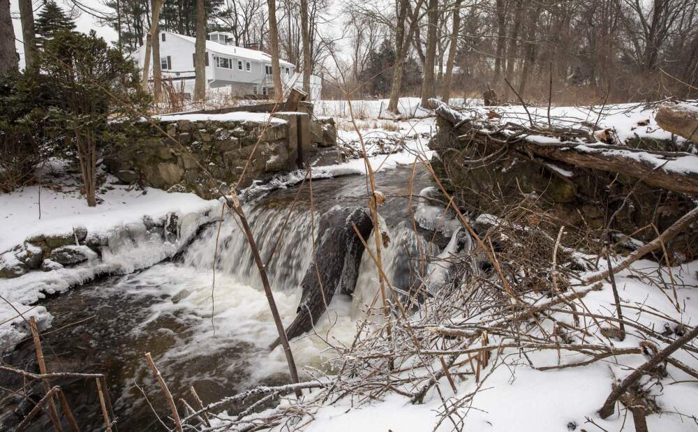 鉴于气候问题，马萨诸塞州计划拆除更多水坝