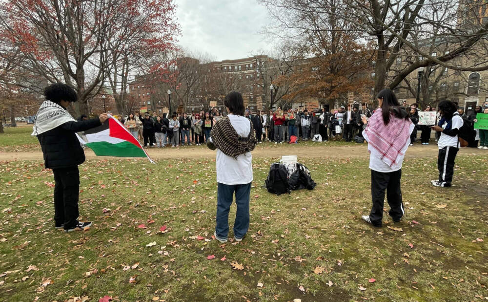 Over 100 students from the Boston Latin School walked out of classes in protest of Israel's war on Gaza Friday, before gathering in Evans Way Park. (Max Larkin/WBUR)