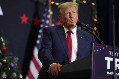 Former President Donald Trump speaks during a rally, Tuesday, Dec. 19, 2023, in Iowa. (Charlie Neibergall/AP)